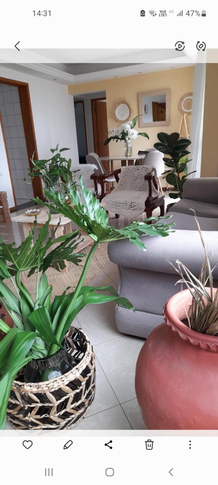 Confortavel Em Boa Viagem Recife